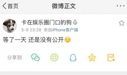 17Cn吃瓜呱呱爆料,揭秘娱乐圈最新热点事件